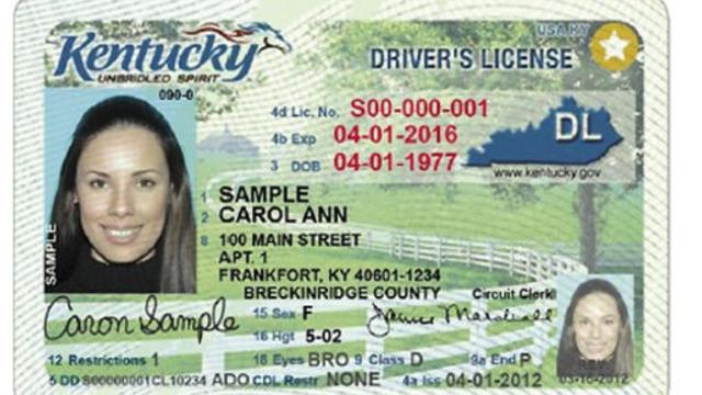 fl online drivers license check